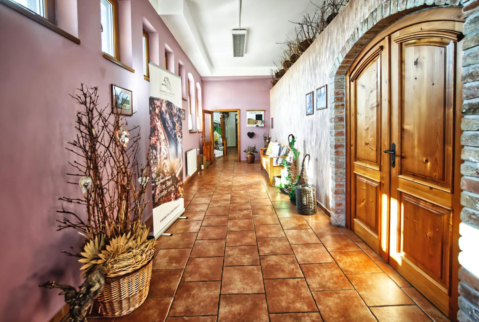 Penzion Vinarstvi Cervinka Horni Vestonice Exteriér fotografie